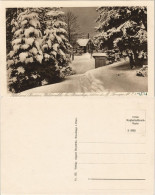 Ansichtskarte Braunlage Hotel-Pension Waldmühle Im Winter 1926 - Braunlage