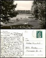 Ansichtskarte Zechlinerhütte/Mark-Rheinsberg Partie Am Schlabornsee 1965 - Zechlinerhütte