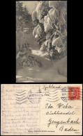 Postcard Stockholm Vinterbild Från Fiskartorpet. Winter Fotokunst 1923 - Schweden