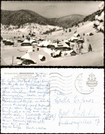 Menzenschwand-St. Blasien Panorama-Ansicht Blick Zum Hochkopf Und Rucken 1965 - St. Blasien