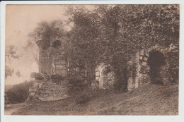 DARNEY - VOSGES - RUINES DE L'ABBAYE DE BONNEVAL - Darney