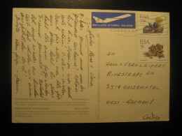 1989 To Walzbachtal Cactus Cactusses Stamps On Swoop Strike Postcard Cancel SOUTH AFRICA RSA - Cactussen