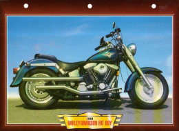 Moto : Harley Davidson Fat Boy - Motor Bikes