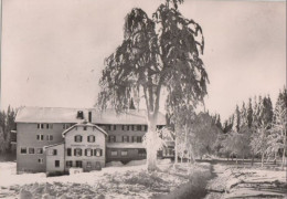 83431 - Peterstal-Griesbach, Zuflucht - Höhenhotel - Ca. 1965 - Bad Peterstal-Griesbach