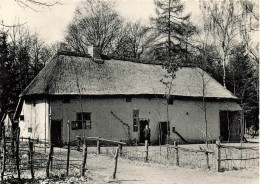 BELGIQUE - Genk - Openluchtmuseum Bokrijk Prentkaarten - Carte Postale - Genk