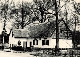 BELGIQUE - Genk - Openluchtmuseum Bokrijk Prentkaarten - Carte Postale - Genk