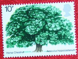 British Trees HORSE CHESTNUT TREE (Mi 645) 1974 POSTFRIS MNH ** ENGLAND GRANDE-BRETAGNE GB GREAT BRITAIN - Unused Stamps