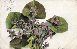 FLEURS - PLANTES & ARBRES - Fleurs Violettes - Carte Postale Ancienne - Fiori