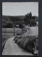 Westouter - Jeudheem Monsalvaet - Schomminkelstraat - Foto Gilbert D'Haen - Circulé En 1969 - Heuvelland