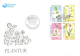 FEROE FDC 1988 FLORE INDIGENE - Färöer Inseln