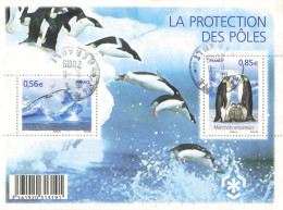 FRANCE 2009 BLOC OBLITERE LA PROTECTION DES POLES - F4350 -  F 4350           - - Oblitérés