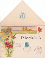 VERY RARE TELEGRAMME,POPPY FLOWERS,COVERS,LX11, ROMANIA - Telegrafi