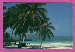 REPUBLIQUE DOMINICAINE - La Plage Les Galeras PLaya Beach Dominica Palmier  - Repubblica Dominicana