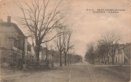 FRANCE - Saint Loubès - Cavernes - L'avenue - Carte Postale Ancienne - Autres & Non Classés