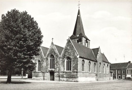 BELGIQUE - Laarne - St Machariuskerk - Carte Postale - Laarne