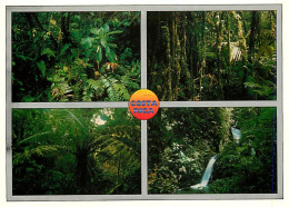 Format - 160 X 115 Mms - Costa Rica - Monteverde - Multivues - CPM - Carte Neuve - Voir Scans Recto-Verso - Costa Rica