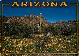 Fleurs - Plantes - Cactus - Etats-Unis - Arizona - Desert In Bloom - Spectacular Gold Poppies Often Carpet The Désert In - Sukkulenten