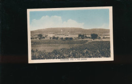 CPA- 83 - Tavernes - Vue Générale - écrite Voyagée En 1952 - Tavernes