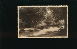 CPA- 83 - Tavernes - Place Des Jardins - Tavernes