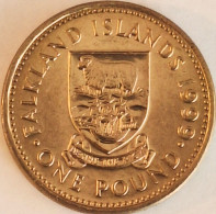 Falkland Islands - Pound 1999, KM# 24 (#3872) - Falklandinseln