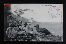 1907 CPA LE HOURDEL 7 LES MOUETTES CIRCULEE GAVOIS  DEBITANT DE TABACS - Le Hourdel