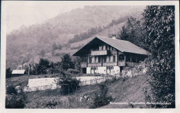 Brienzwiler BE, Typisches Bernerhäuschen (30638) - Brienz