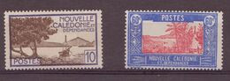 Nouvelle Calédonie - YT N° 244 Et 245 ** - Neuf Sans Charnière - Nuevos