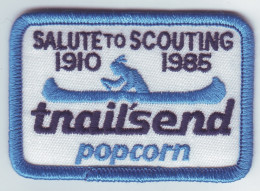 B 19 - 95 USA Scout Badge - 1985 - Pfadfinder-Bewegung