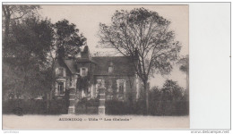 62 - AUDRUICQ / VILLA LES GLAÏEULS - Audruicq