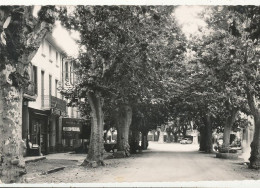 26 // BUIS LES BARONNIES    Les Platanes    Cpsm Petit Format   Edit Cellard - Buis-les-Baronnies