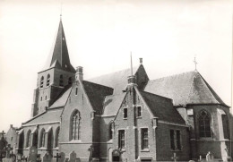 BELGIQUE - Lille - Poederlee - Kerk - Carte Postale - Lille