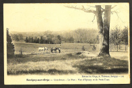 SAVIGNY SUR ORGE   "  Grand Vaux - Le Parc "     1903     Animée - Savigny Sur Orge