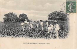 Colonie De METTRAY - Colons Aux Travaux - Très Bon état - Mettray