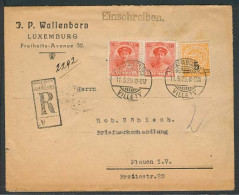 LUXEMBOURG. 1925 (11 March). Lux Ville - Flanen / Vogtland. Reg Fkd Ovptd Mixed Issues Env. VF. - Other & Unclassified