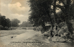 N45 - 38 - VIF - Isère - Les Bords De La Gresse - Vif