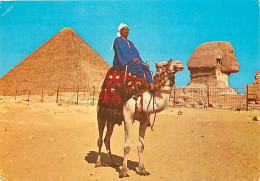 Egypte - Gizeh - Giza - Camel Driver Near The Sphinx And Pyramid Of Khufu - Chamelier - Chameaux - Voir Timbre - CPM - V - Gizeh