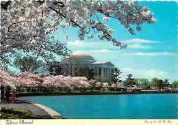 Etats Unis - Washington - Jefferson Memorial - CPM - Voir Scans Recto-Verso - Washington DC