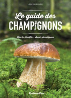 Le Guide Des Champignons. Bien Les Identifier - Savoir Où Les Trouver - Nature