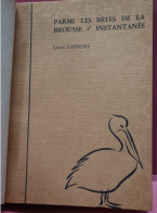 LA PHOTOGRAPHIE DES BETES SAUVAGES / PARMI LES BETES DE LA BROUSSE PAR LEON LIPPENS VOIR DESCRIPTION ET IMAGES - Fotografía