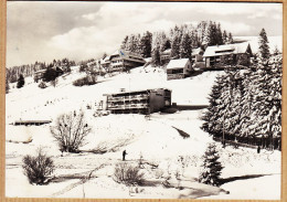 23695 / Rare ALTGLASHÜTTEN Wintersportplatz Hochschwarzwald Am SOMMERBERG 1960s Foto A. MAUTHE - Feldberg