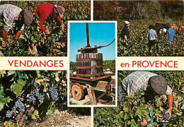 Vignes - Vendanges En Provence - Multivues - CPM - Voir Scans Recto-Verso - Weinberge