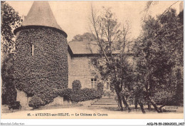 ACQP8-59-0715 - AVESNES-SUR-HELPE - Le Château De Coutan - Avesnes Sur Helpe