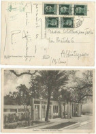 LUOGOTENENZA 25mar1946 Imperiale C.60 Verde 5pezzi Cartolina B/n Cagliari Ingresso Giardini Pubblici - Marcophilia