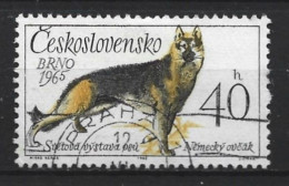 Ceskoslovensko 1965  Dog  Y.T. 1409 (0) - Usati