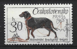 Ceskoslovensko 1965  Dog  Y.T. 1408 (0) - Usati