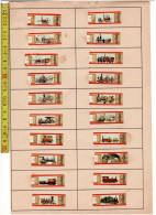 LADE  Q - BANDES DE CIGARE - SIGARENBANDJES  - MERCATOR - Vitolas (Anillas De Puros)