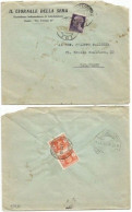 LUOGOTENENZA Roma 7dic1945 Imperiale SF L.1 Isolato X Catanzaro Tassa L.1 SF Coppia - Storia Postale