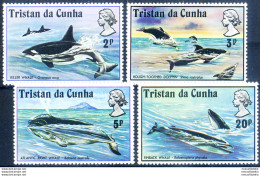 Fauna. Cetacei 1975. - Tristan Da Cunha