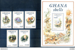 Conchiglie 1992. - Ghana (1957-...)