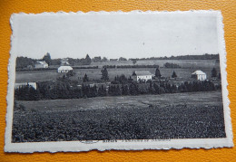 RIEZES   -   Panorama De Nimelette - Chimay